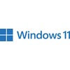 Windows 11 compatible